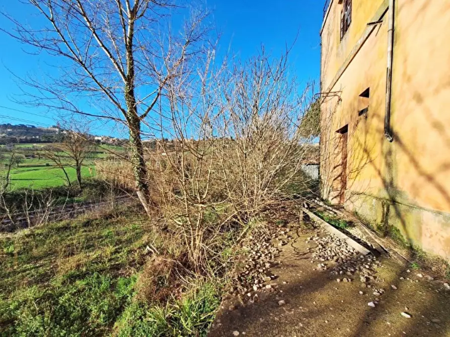 Immagine 7 di Capannone industriale in vendita  in Vocabolo Cappuccini, 06059 Todi PG, Italia a Todi