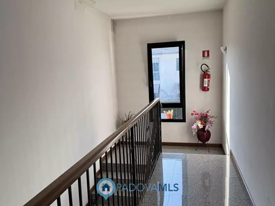 Immagine 17 di Appartamento in vendita  in Via San Pio X a Veggiano