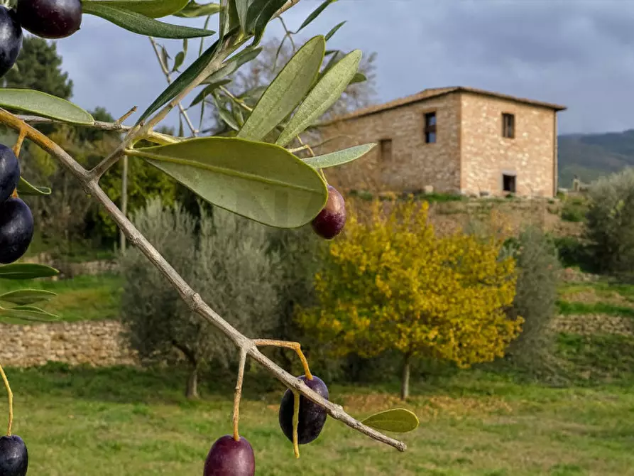 Immagine 1 di Rustico / casale in vendita  in FONTISTERNI a Pelago
