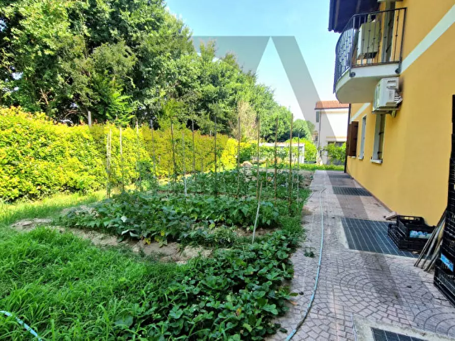 Immagine 12 di Appartamento in vendita  in Via Borgo Borghetto a Padova