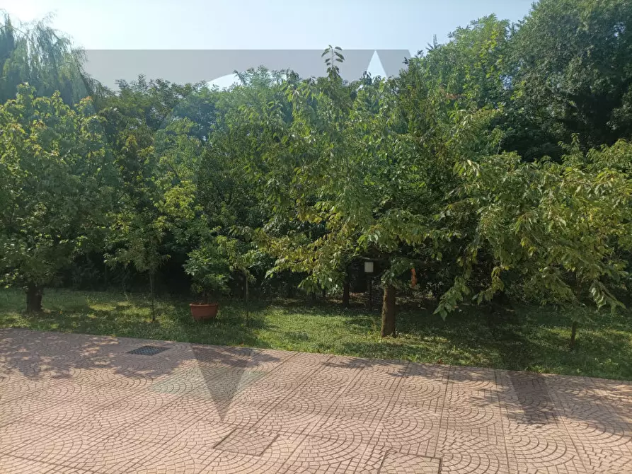 Immagine 41 di Appartamento in vendita  in Via Borgo Borghetto a Padova