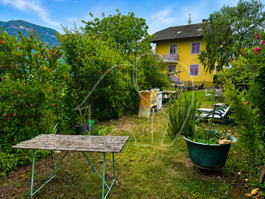 Immagine 6 di Casa indipendente in vendita  a Termeno Sulla Strada Del Vino .Tramin An Der.
