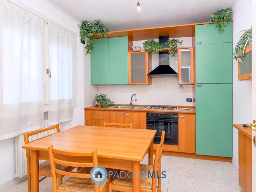 Immagine 8 di Appartamento in vendita  in Via Santa Maria Ausiliatrice a Selvazzano Dentro