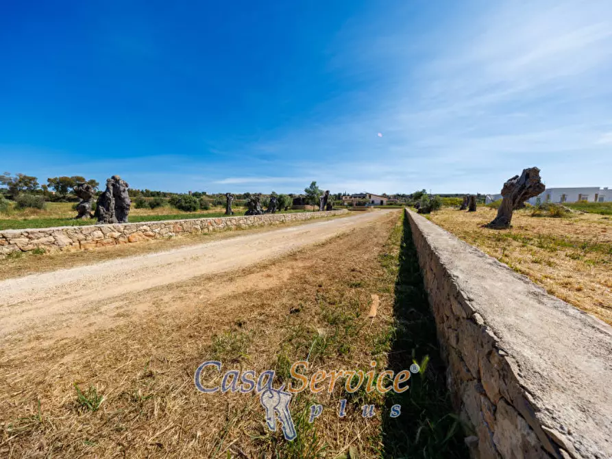 Immagine 23 di Villa in vendita  in Strada per Tuglie a Parabita