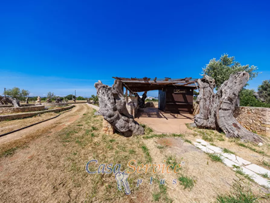 Immagine 27 di Villa in vendita  in Strada per Tuglie a Parabita