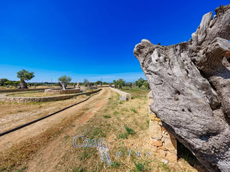 Immagine 28 di Villa in vendita  in Strada per Tuglie a Parabita