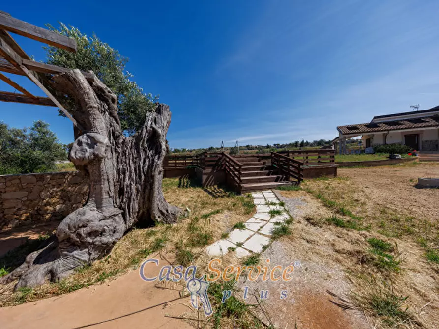 Immagine 38 di Villa in vendita  in Strada per Tuglie a Parabita