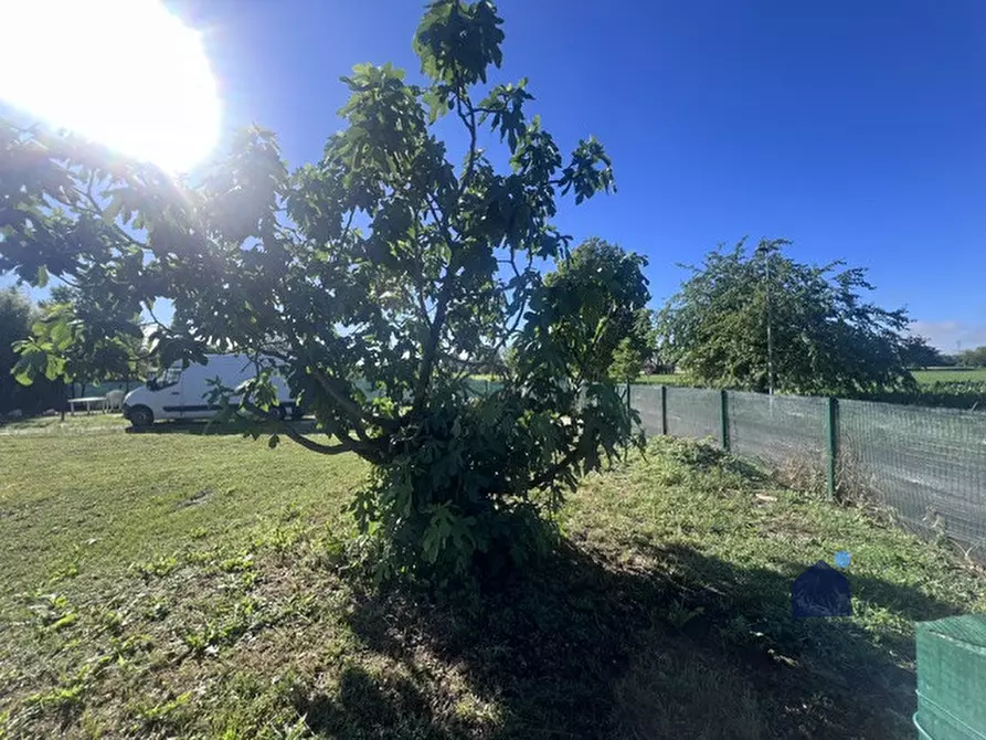 Immagine 17 di Terreno in vendita  in via campagna a Nuvolento