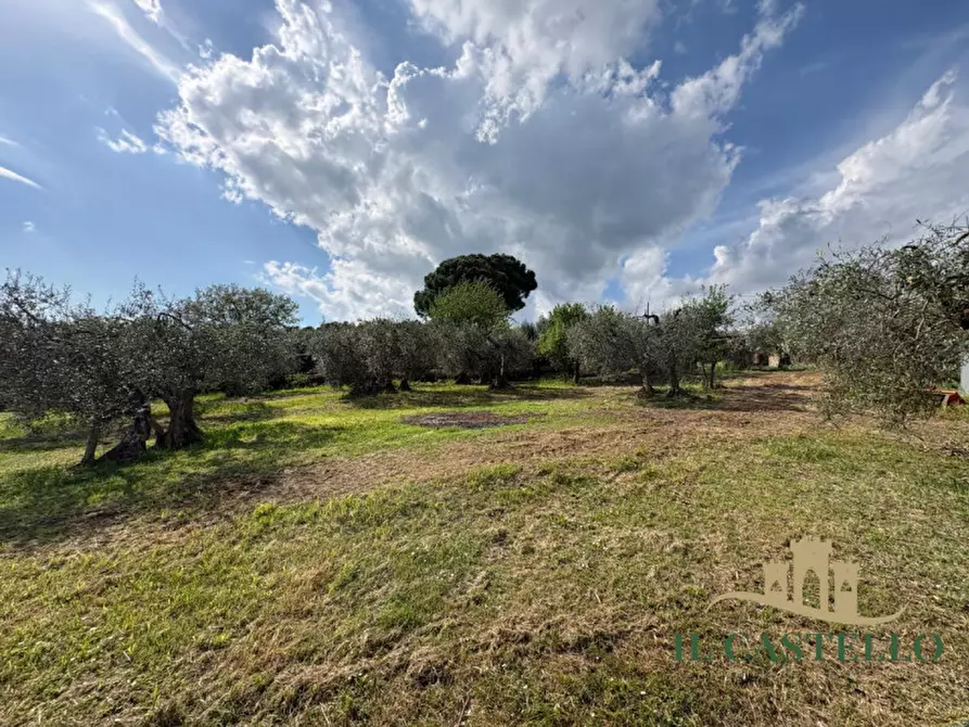 Immagine 29 di Villetta a schiera in vendita  a Castiglione Del Lago