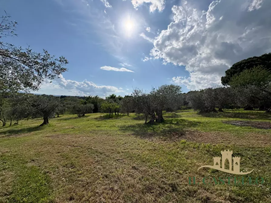 Immagine 32 di Villetta a schiera in vendita  a Castiglione Del Lago