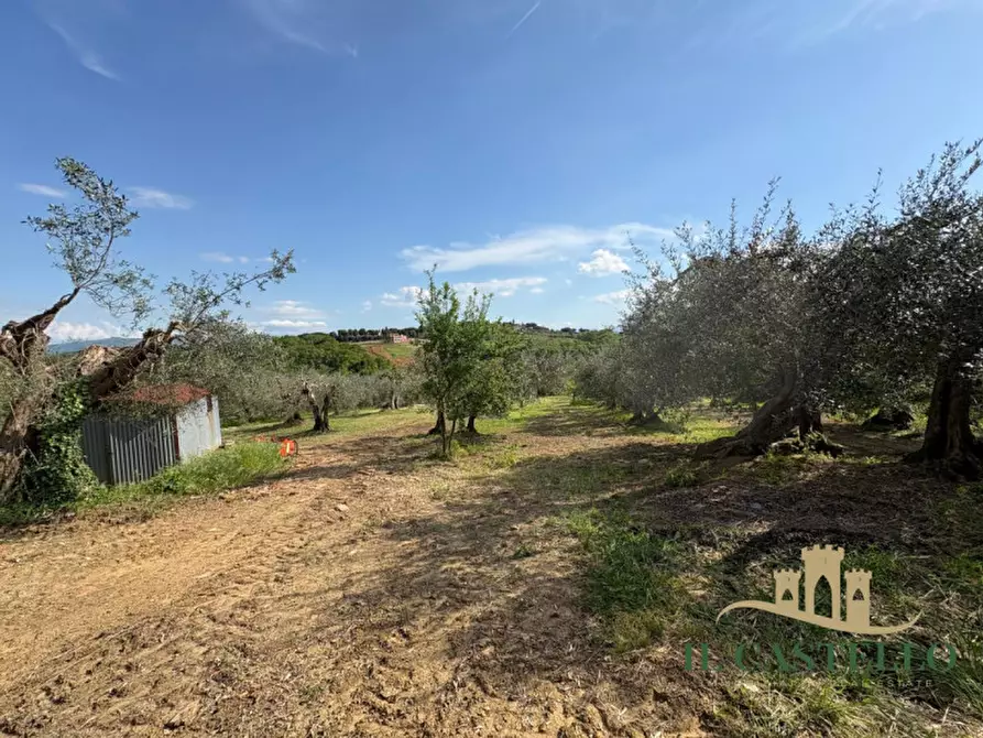 Immagine 34 di Villetta a schiera in vendita  a Castiglione Del Lago