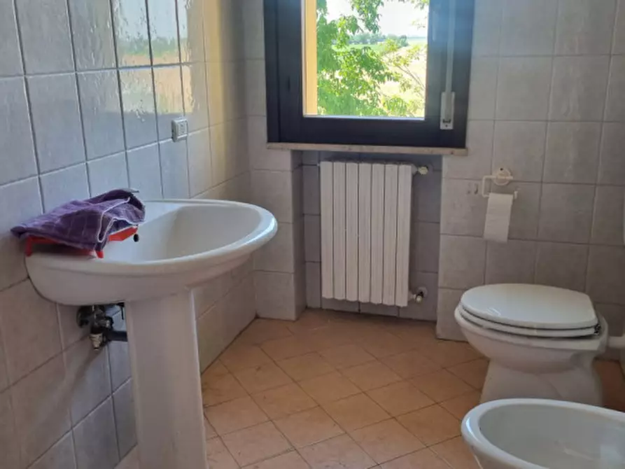 Immagine 7 di Appartamento in vendita  in Viale Leonardo da Vinci a Reggiolo