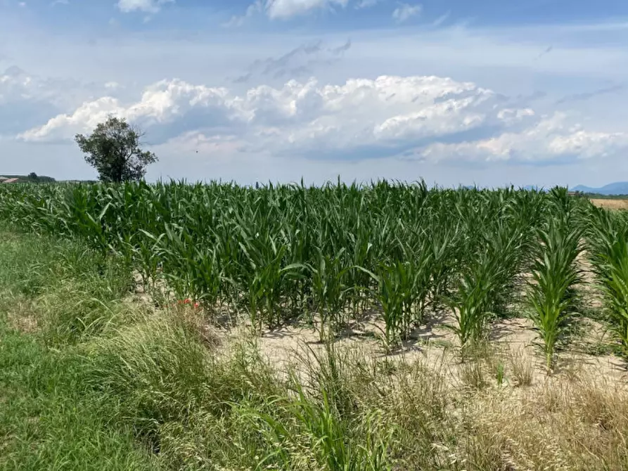 Immagine 6 di Terreno in vendita  in Va Bazzana a Sant'urbano