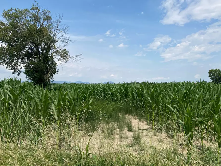 Immagine 8 di Terreno in vendita  in Va Bazzana a Sant'urbano