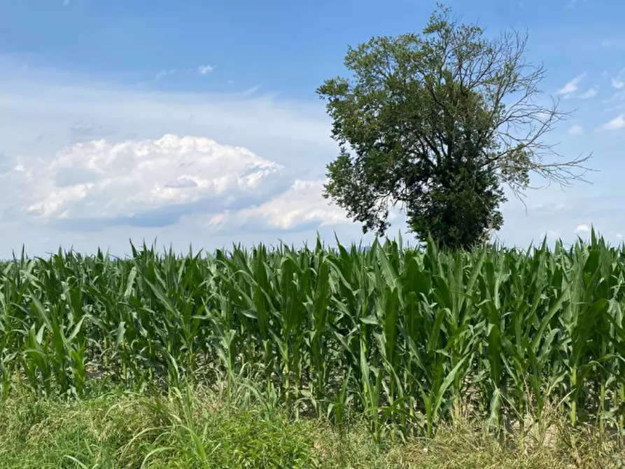 Immagine 9 di Terreno in vendita  in Va Bazzana a Sant'urbano