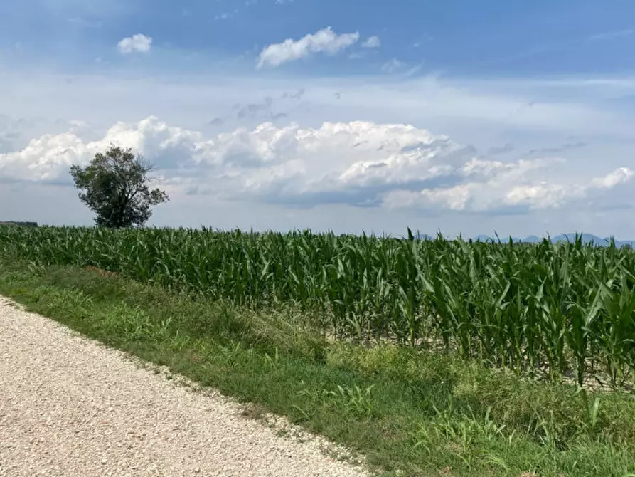 Immagine 10 di Terreno in vendita  in Va Bazzana a Sant'urbano