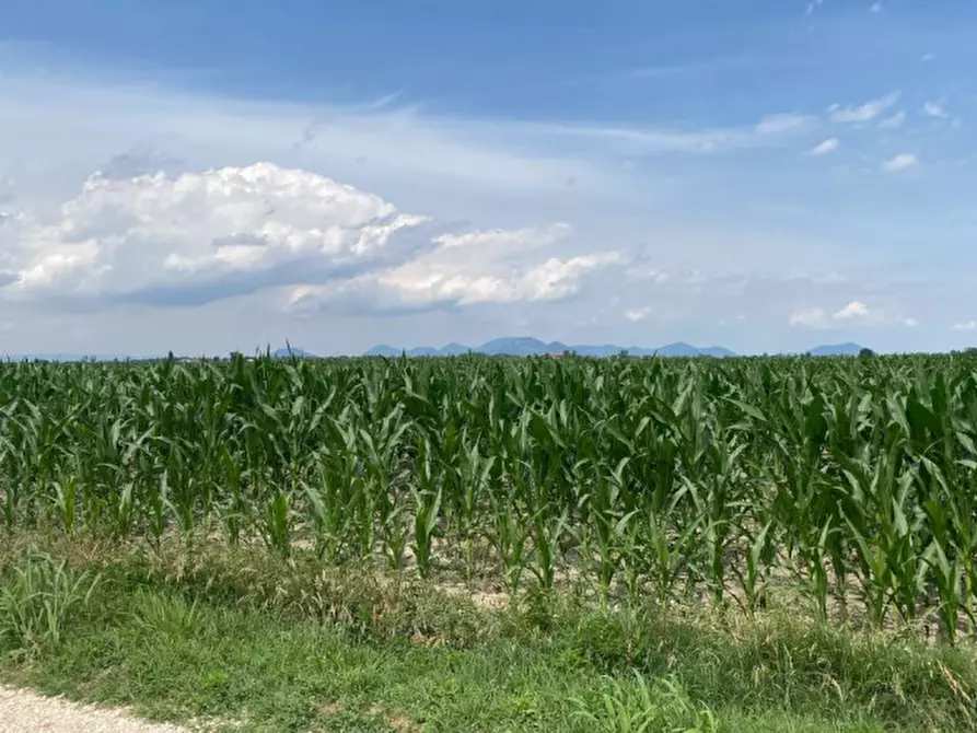 Immagine 13 di Terreno in vendita  in Va Bazzana a Sant'urbano