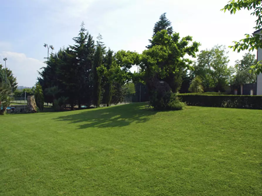 Immagine 4 di Rustico / casale in vendita  a Senigallia