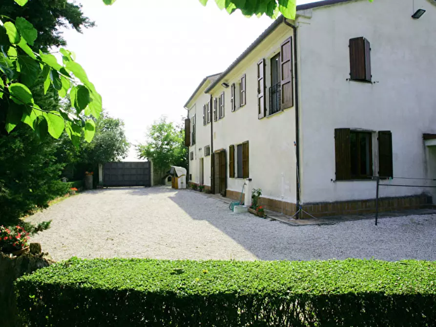 Immagine 5 di Rustico / casale in vendita  a Senigallia