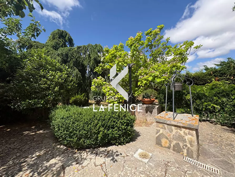Immagine 6 di Rustico / casale in vendita  in contrada Zippitello a Alberobello