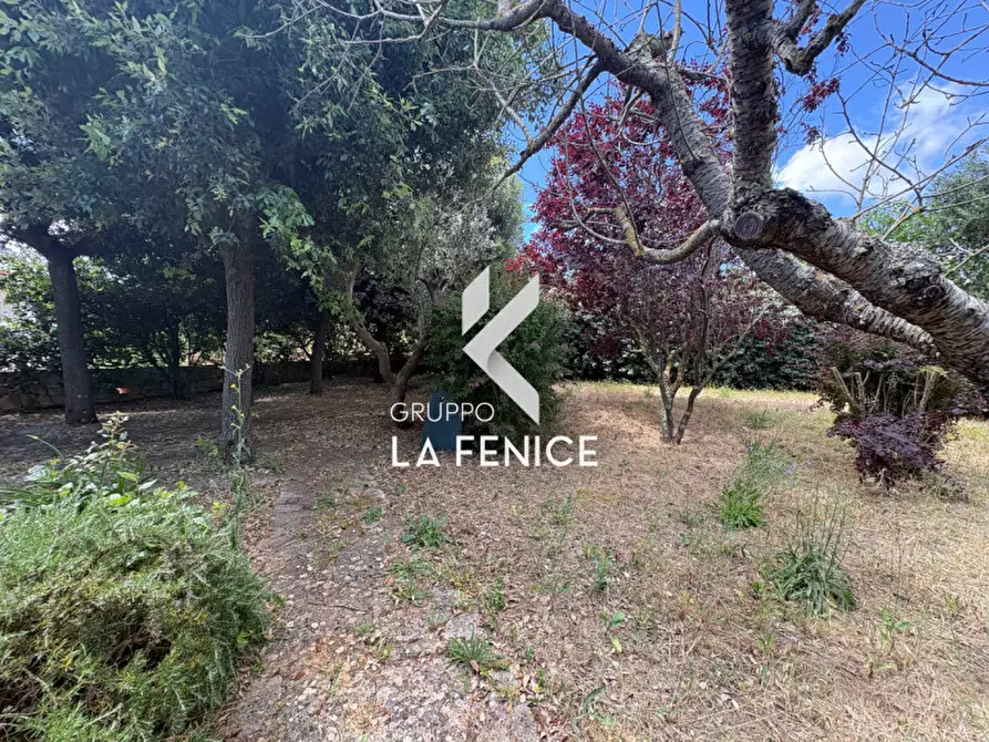 Immagine 13 di Rustico / casale in vendita  in contrada Zippitello a Alberobello
