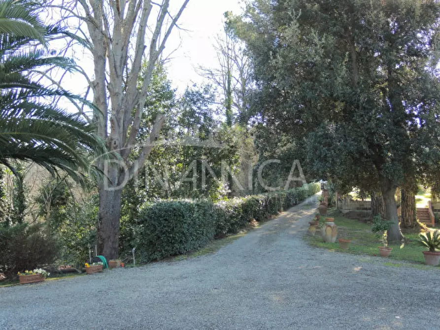Immagine 11 di Rustico / casale in vendita  in via vecchia di montalto a Pontedera