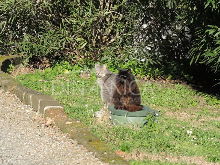 Immagine 39 di Rustico / casale in vendita  in via vecchia di montalto a Pontedera