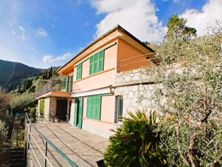 Immagine 4 di Villa in vendita  in Via dell'Alloro a Recco