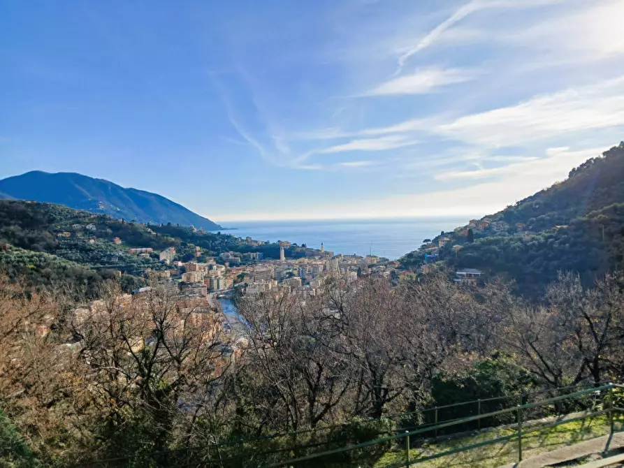 Immagine 13 di Villa in vendita  in Via dell'Alloro a Recco