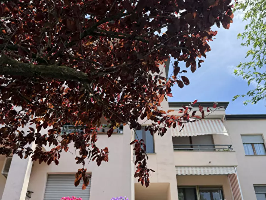 Immagine 23 di Appartamento in vendita  in Via Giuseppe Verdi, 11 a Torrile