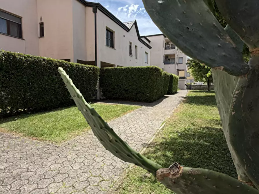 Immagine 27 di Appartamento in vendita  in Via Giuseppe Verdi, 11 a Torrile