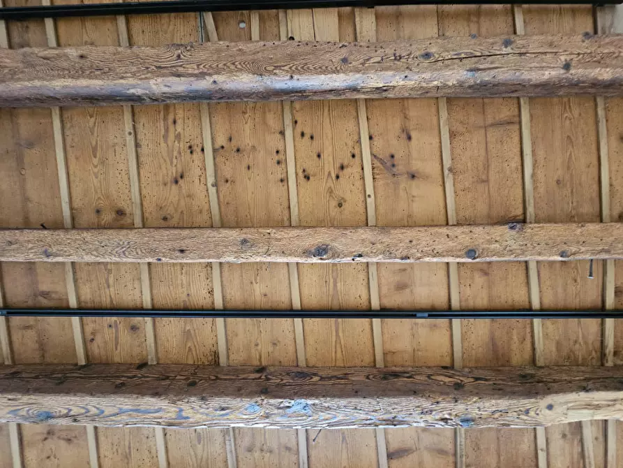 Immagine 8 di Negozio in affitto  in piazza trento a Este