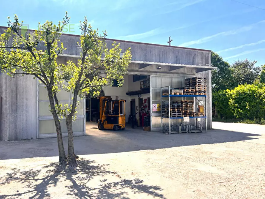Immagine 3 di Capannone industriale in vendita  in Nuova Gasparona a Thiene