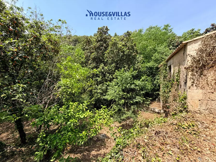 Immagine 19 di Villa in vendita  in contrada fiumara a Noto