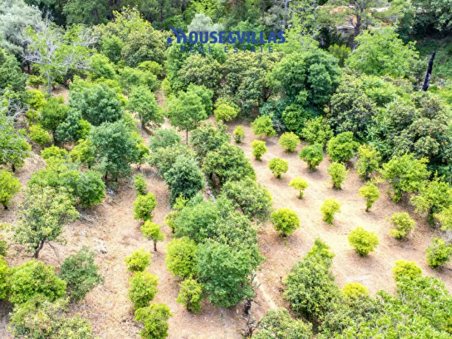 Immagine 31 di Villa in vendita  in contrada fiumara a Noto