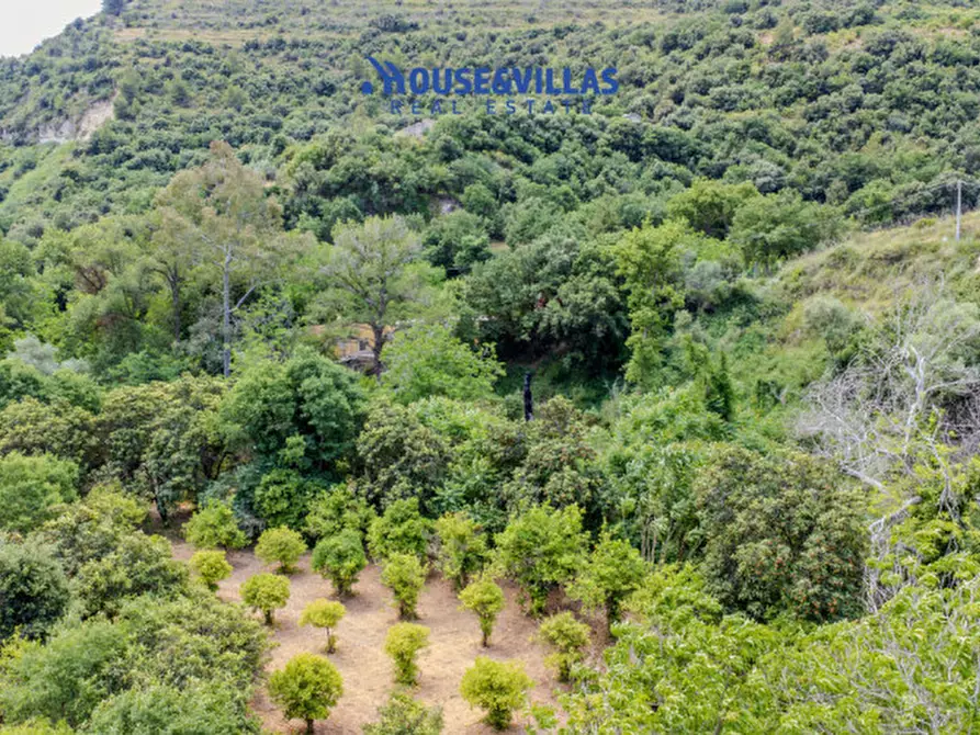 Immagine 32 di Villa in vendita  in contrada fiumara a Noto