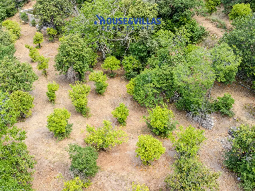 Immagine 33 di Villa in vendita  in contrada fiumara a Noto