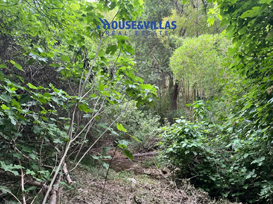 Immagine 34 di Villa in vendita  in contrada fiumara a Noto