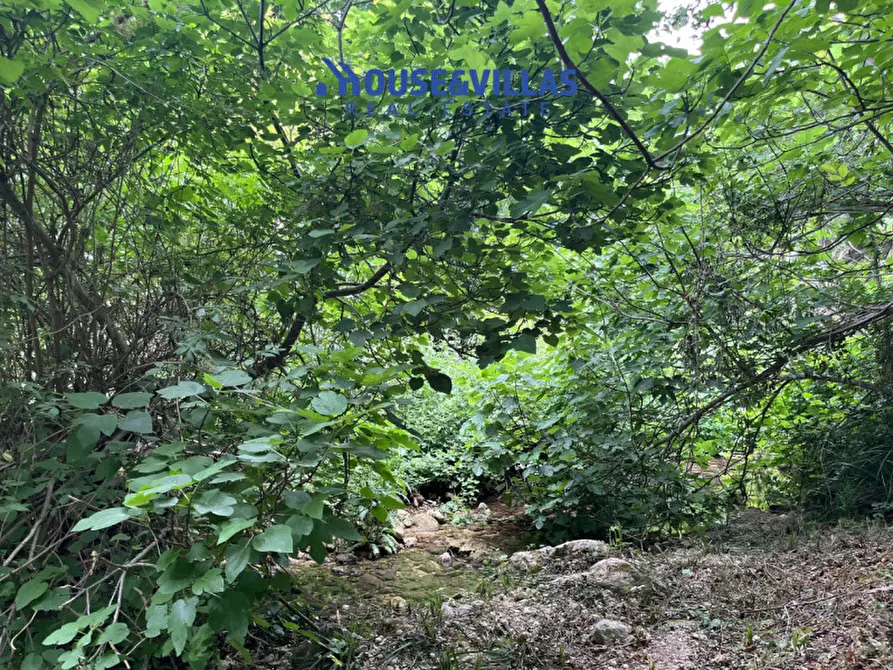 Immagine 35 di Villa in vendita  in contrada fiumara a Noto