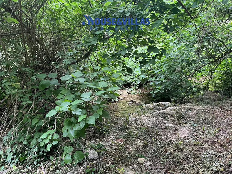 Immagine 36 di Villa in vendita  in contrada fiumara a Noto