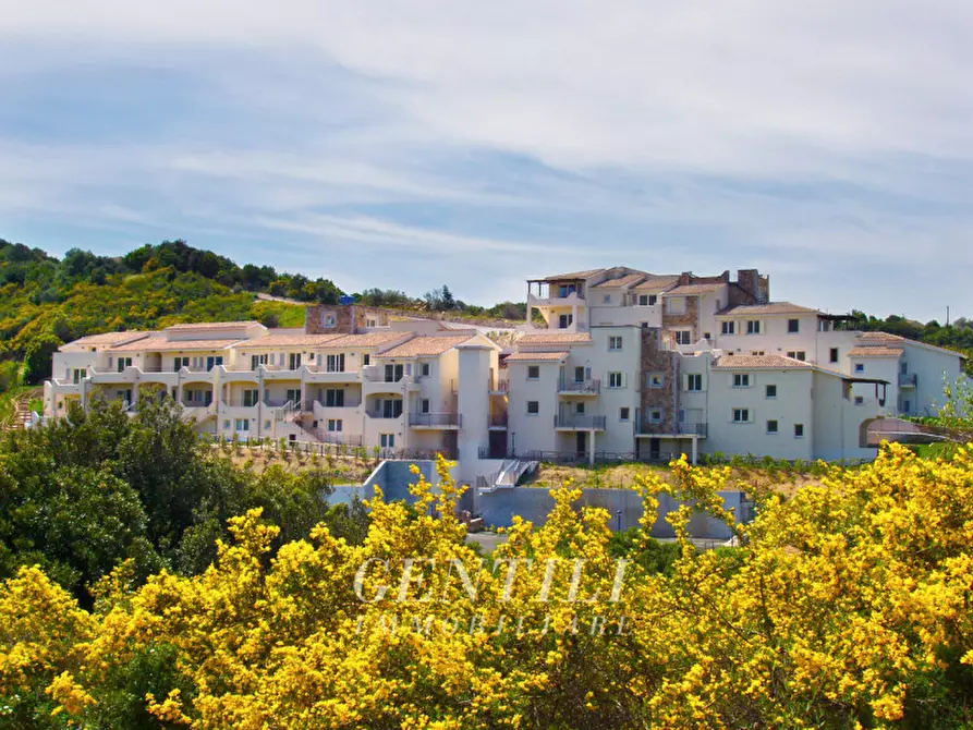 Immagine 17 di Appartamento in vendita  a Arzachena