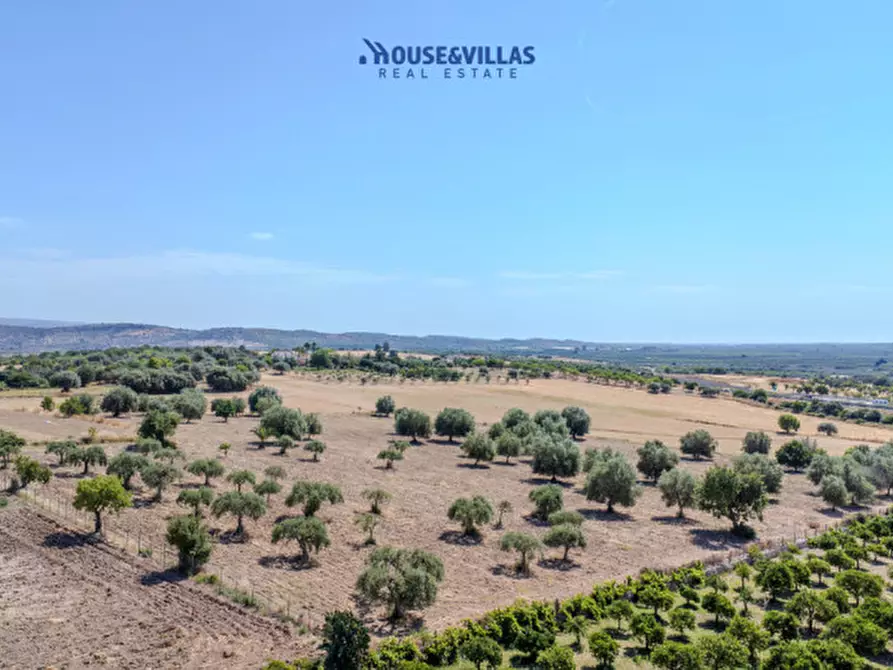 Immagine 8 di Terreno in vendita  in SS115 a Noto