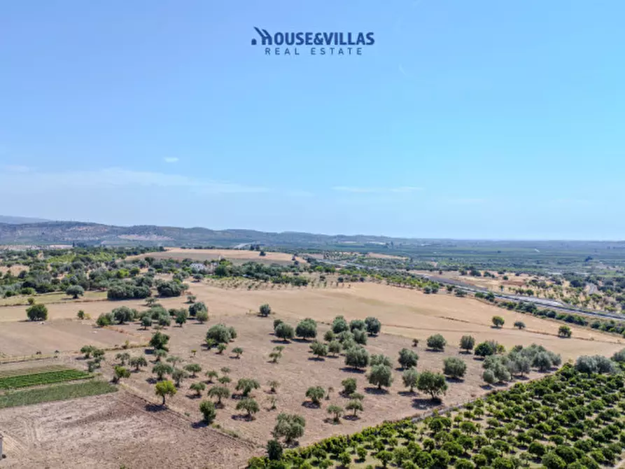 Immagine 9 di Terreno in vendita  in SS115 a Noto