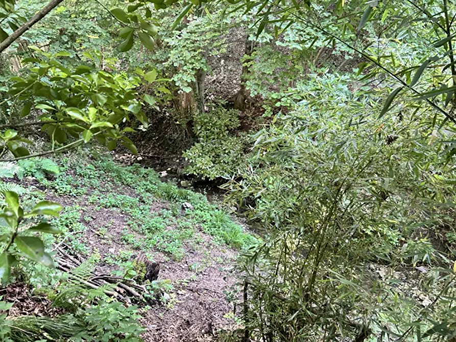 Immagine 25 di Villetta a schiera in vendita  in VIA CUNEGATTI a Badia Calavena