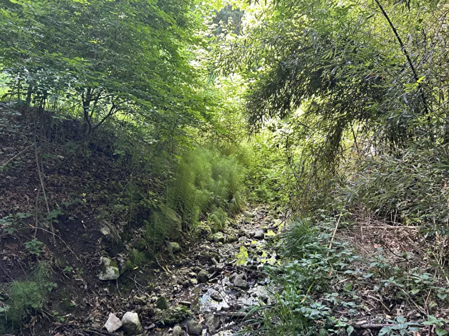 Immagine 26 di Villetta a schiera in vendita  in VIA CUNEGATTI a Badia Calavena