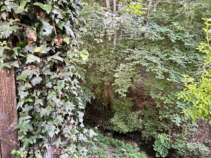 Immagine 27 di Villetta a schiera in vendita  in VIA CUNEGATTI a Badia Calavena