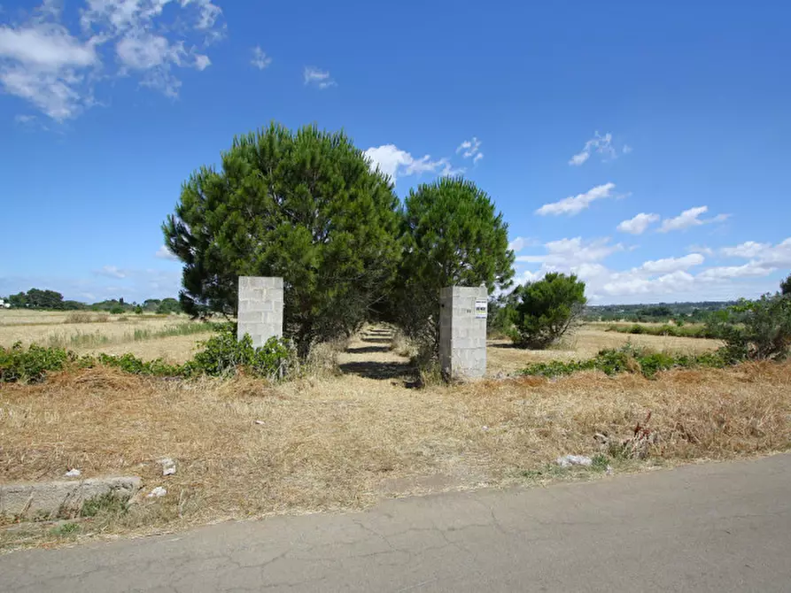 Immagine 1 di Terreno in vendita  in Strada Vicinale Tammali a Parabita