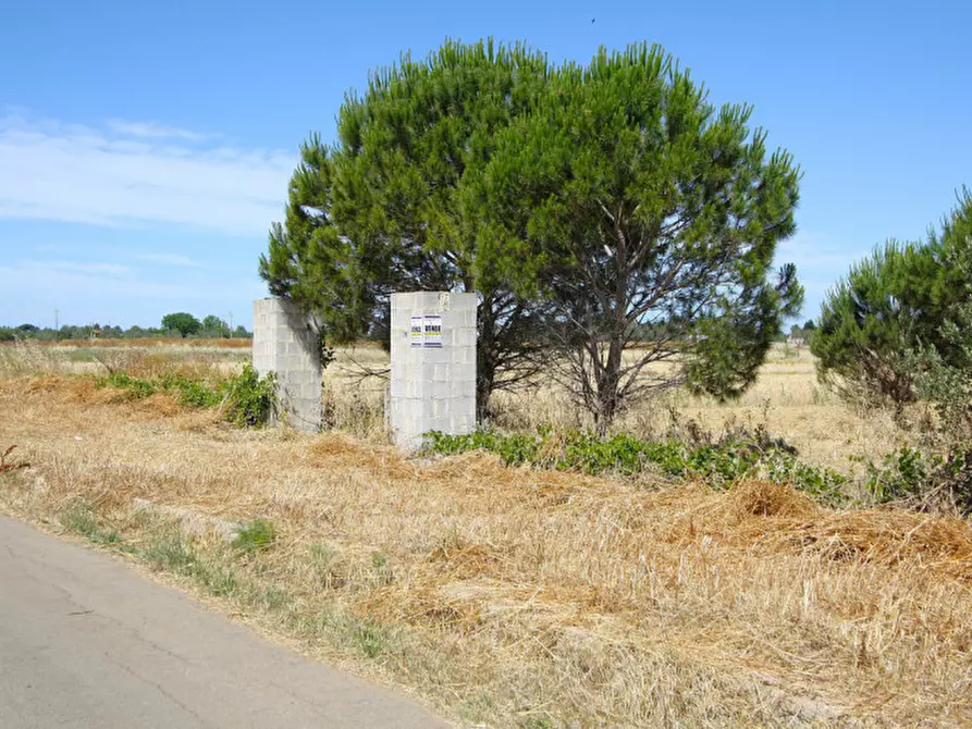 Immagine 2 di Terreno in vendita  in Strada Vicinale Tammali a Parabita