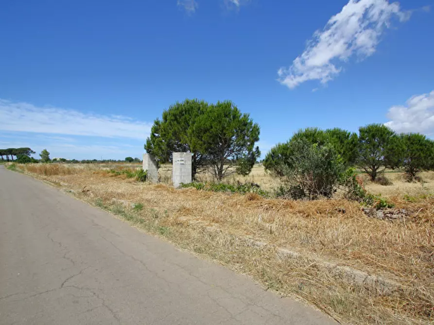 Immagine 3 di Terreno in vendita  in Strada Vicinale Tammali a Parabita