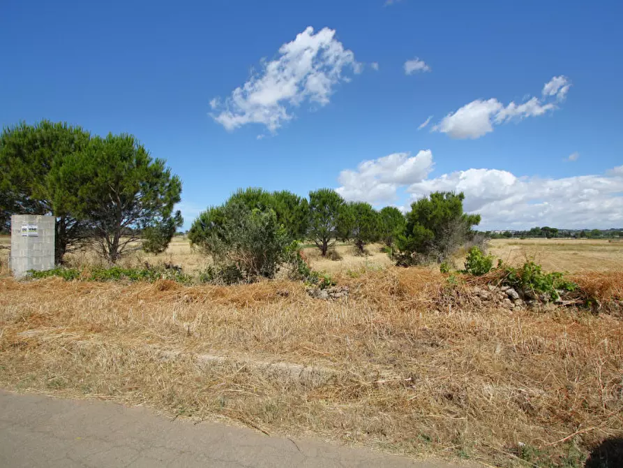 Immagine 4 di Terreno in vendita  in Strada Vicinale Tammali a Parabita